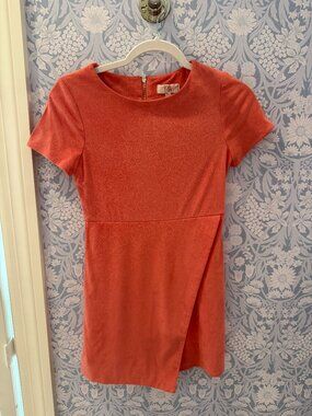 GB Girls Faux Suede Dress (Size 12)
